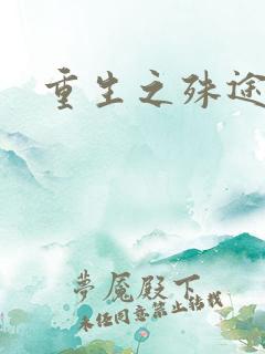 重生之殊途