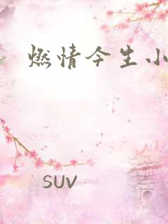 燃情今生小说
