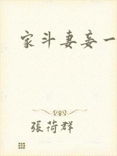 家斗妻妾一家欢