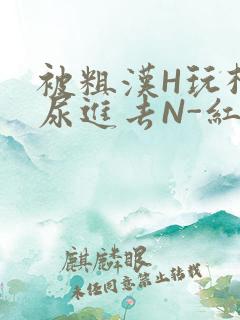 被粗汉H玩松了尿进去N-红-Q