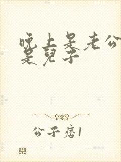 晚上是老公白天是儿子