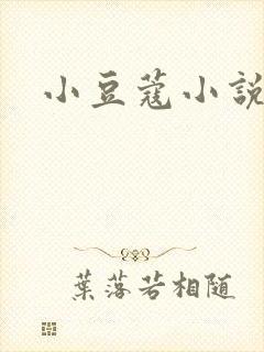 小豆蔻小说