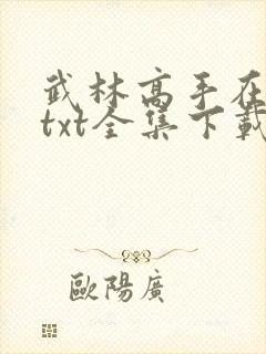 武林高手在异世txt全集下载