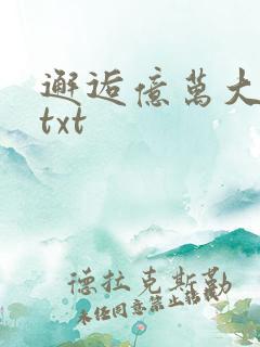 邂逅亿万大人物txt