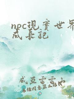 npc现实世界成长记