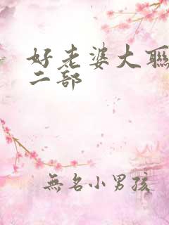 好老婆大联盟第二部