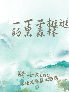 一下子挺进浓密的黑森林