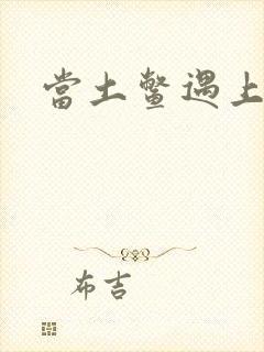 当土鳖遇上海龟