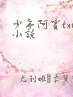 少年阿宾txt小说