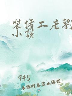 装修工老刘林雪小说