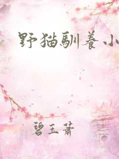 野猫驯养小说