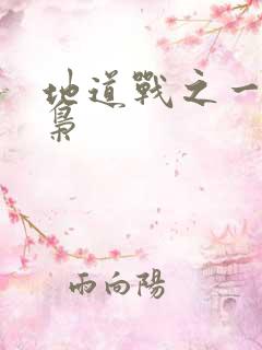 地道战之一代功枭