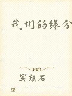 我们的缘分小说