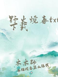 野火烧春txt下载