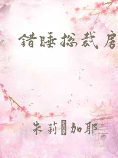 错睡总裁房
