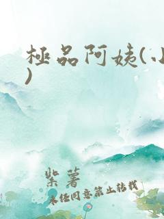 极品阿姨(小说)