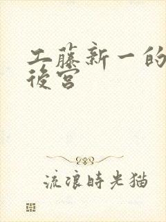 工藤新一的日本后宫