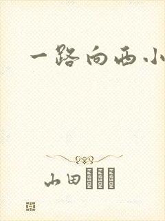 一路向西小说