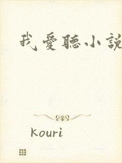 我爱听小说