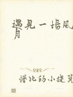 遇见一场风花雪月