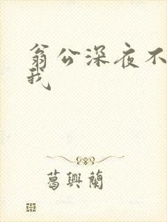 翁公深夜不停要我