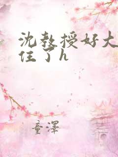 沈教授好大含不住了h