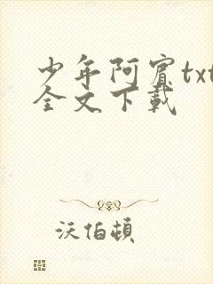少年阿宾txt全文下载