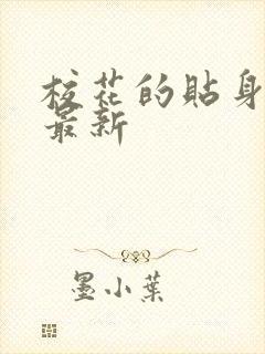 校花的贴身高手最新