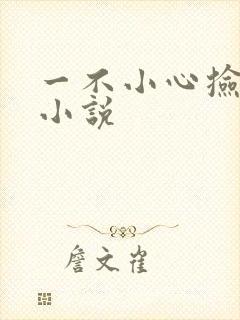 一不小心捡到爱小说