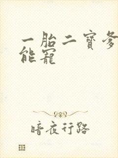 一胎二宝爹地超能宠