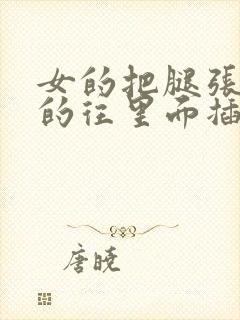 女的把腿张开男的往里面插