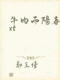 牛肉面阳春面txt