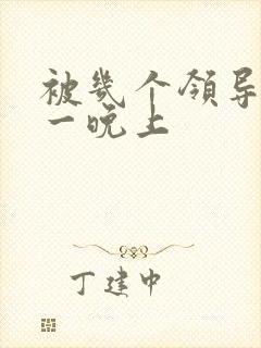 被几个领导玩弄一晚上