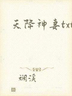 天降神妻txt