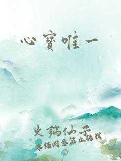 心宝唯一