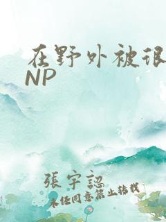 在野外被很多人NP