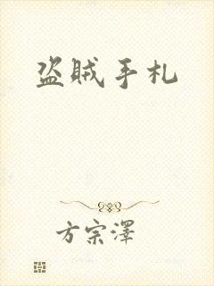 盗贼手札