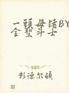 一头母猪BY黄金圣斗士