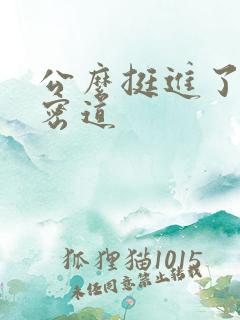 公么挺进了我的密道