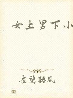 女上男下小说