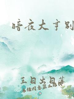 暗夜大亨别烦我