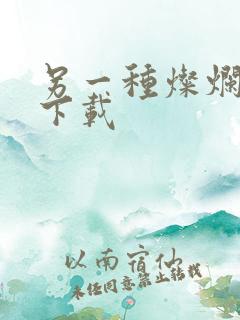 另一种灿烂生活下载