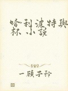 哈利波特与火焰杯 小说