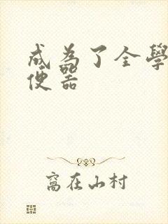 成为了全学校坐便器