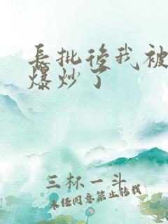 长批后我被宿敌爆炒了