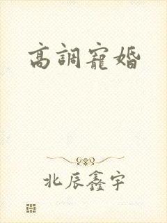 高调宠婚