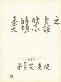 秦时明月之夜尽天明小说