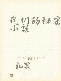 我们的秘密泰剧小说