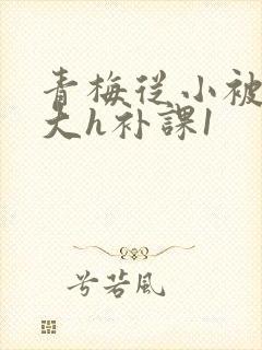 青梅从小被c到大h补课1