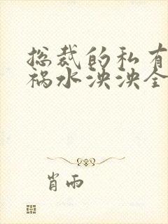 总裁的私有宝贝祸水泱泱全文阅读